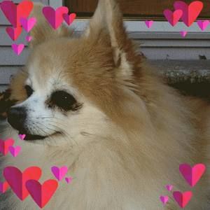 Meet your Posher, Vicki